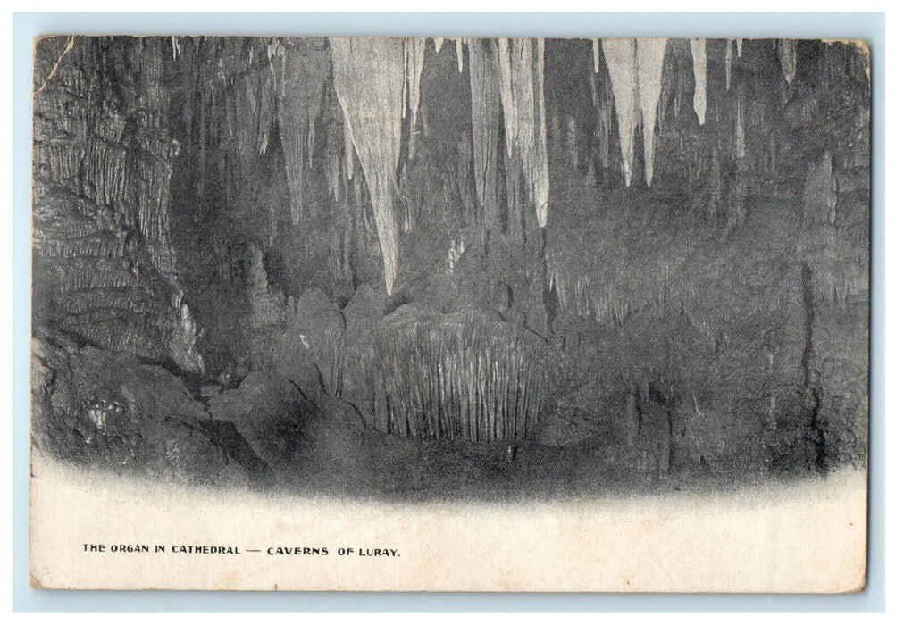 c1910s The Organ in Cathedral Caverns of Luray Virginia VA Postcard