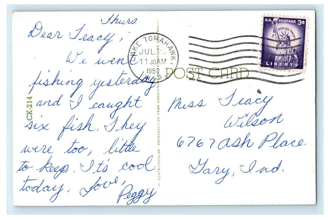 1959 Animal Scene, Greetings from Lake Tomahawk Wisconsin WI Postcard