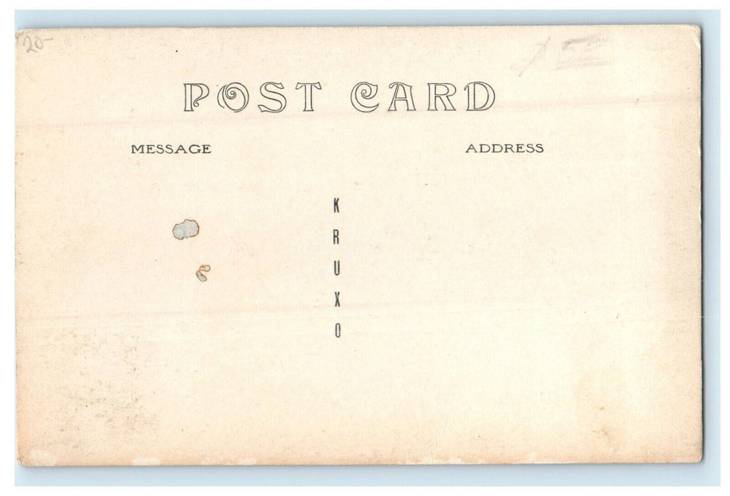 c1910's A Beauty Spot At Northfield Massachusetts MA RPPC Photo Antique Postcard