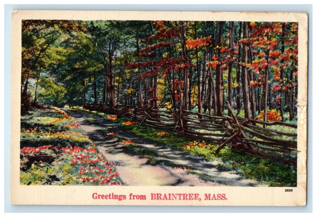 c1910's Greetings From Braintree Massachusetts MA, Road View Antique Postcard