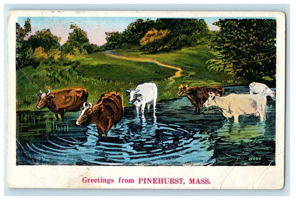 1933 Greetings From Pinehurst Massachusetts MA, Carabao River View Postcard