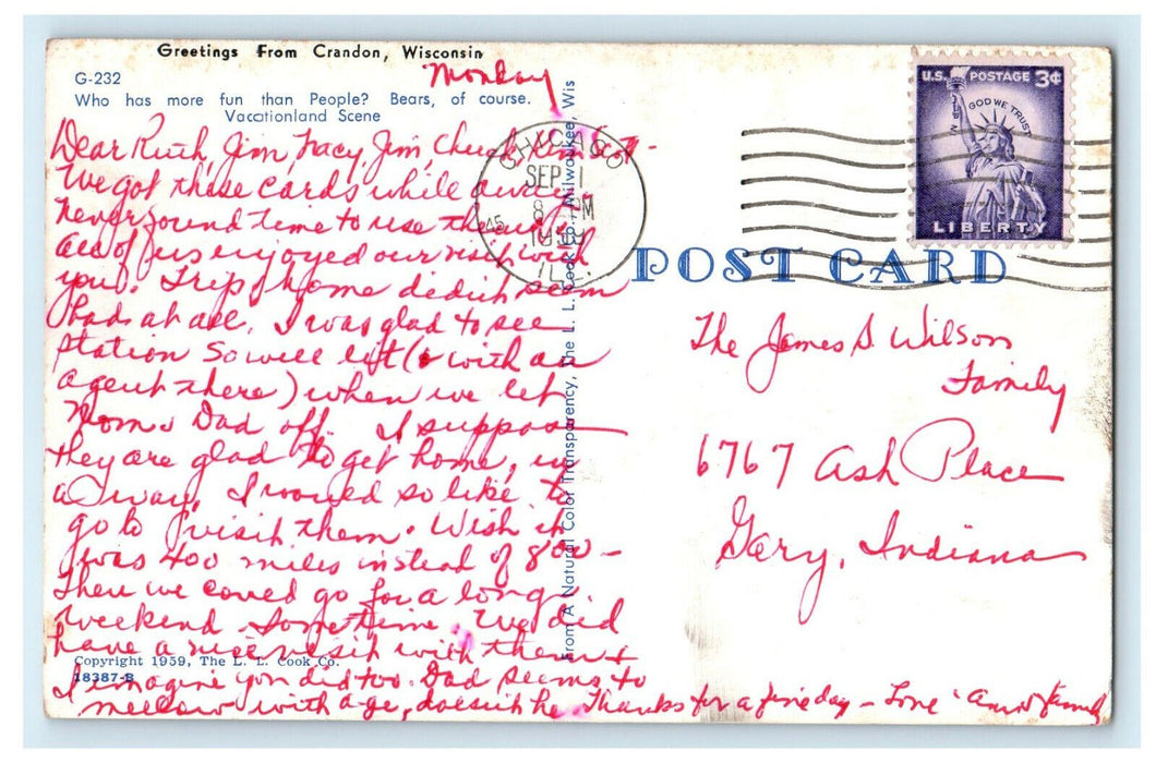 1959 Bear Climbing Tree, Greetings from Crandon Wisconsin WI Postcard