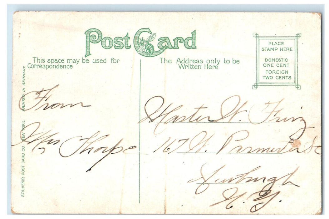 c1910 Steamship Scene, Landing of The Albany Kingston Point, NY Postcard