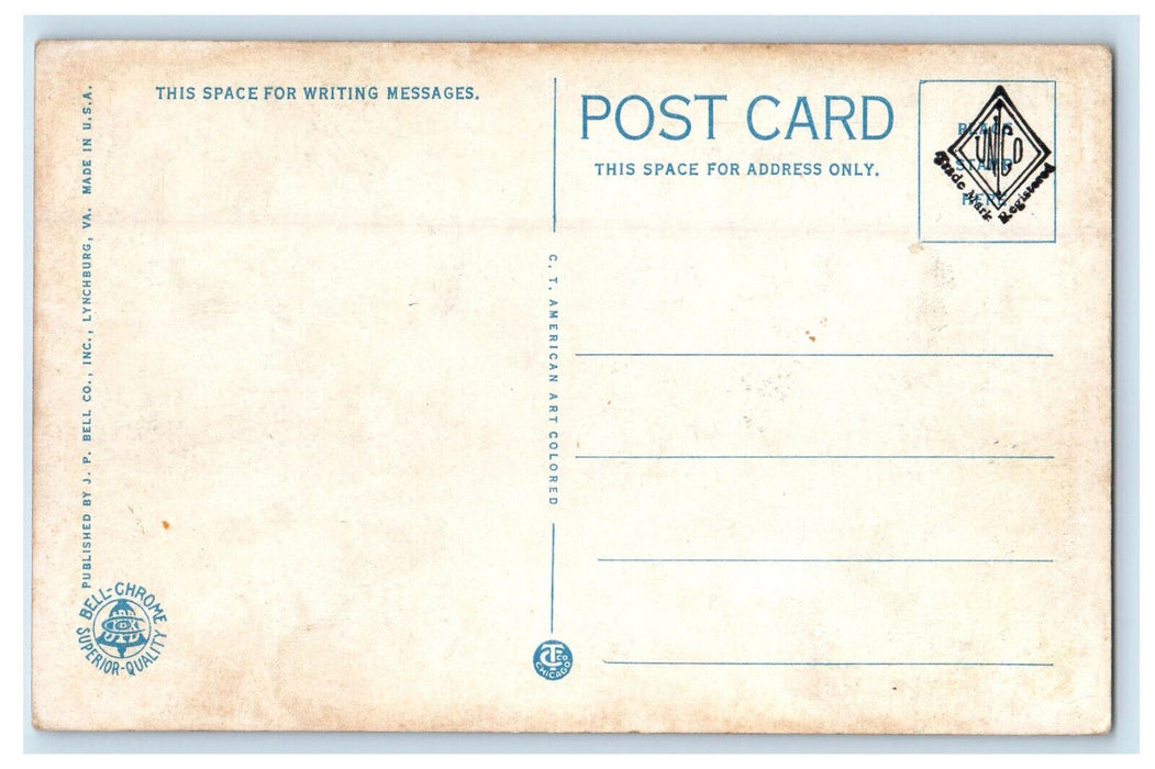 c1920s On The Line of Norfolk & Western Railway Palisades New River VA Postcard