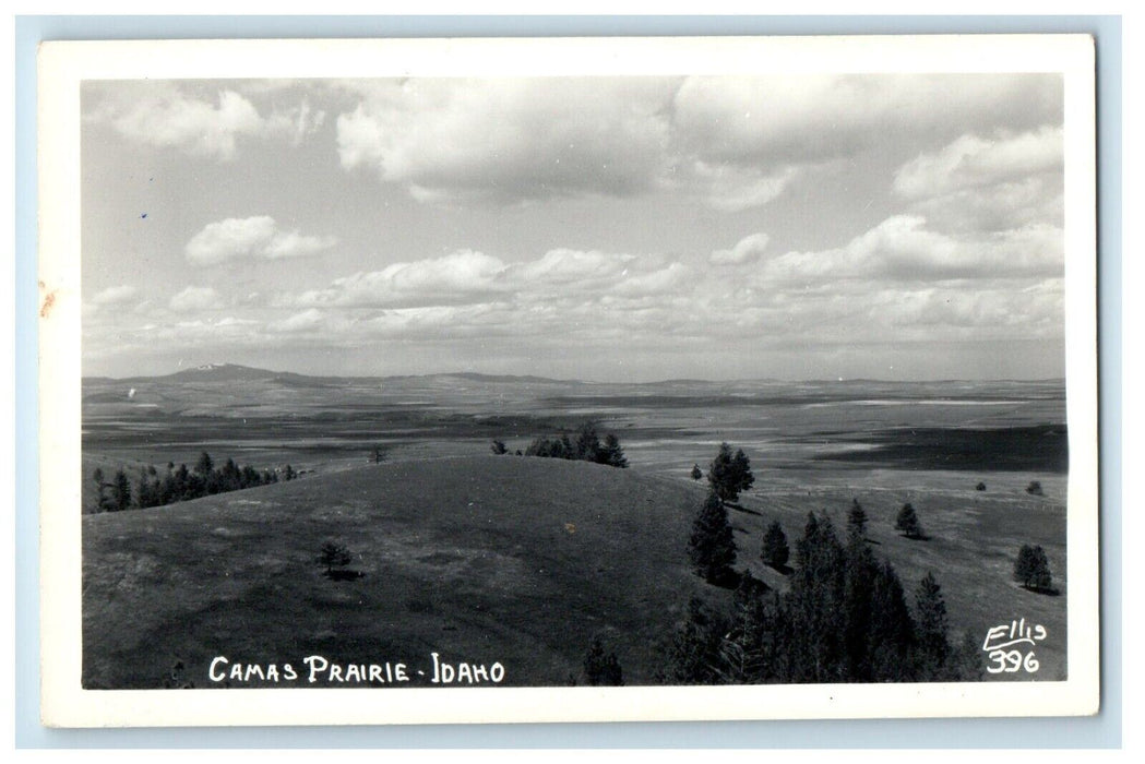 c1940's Camas Prairie Grangeville Idaho ID RPPC Photo Ellis Vintage Postcard