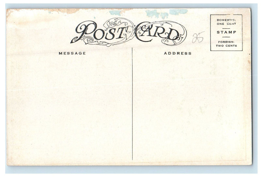 c1910 Dee Weese Dam Near Westcliffe Colorado CO Unposted Antique Postcard