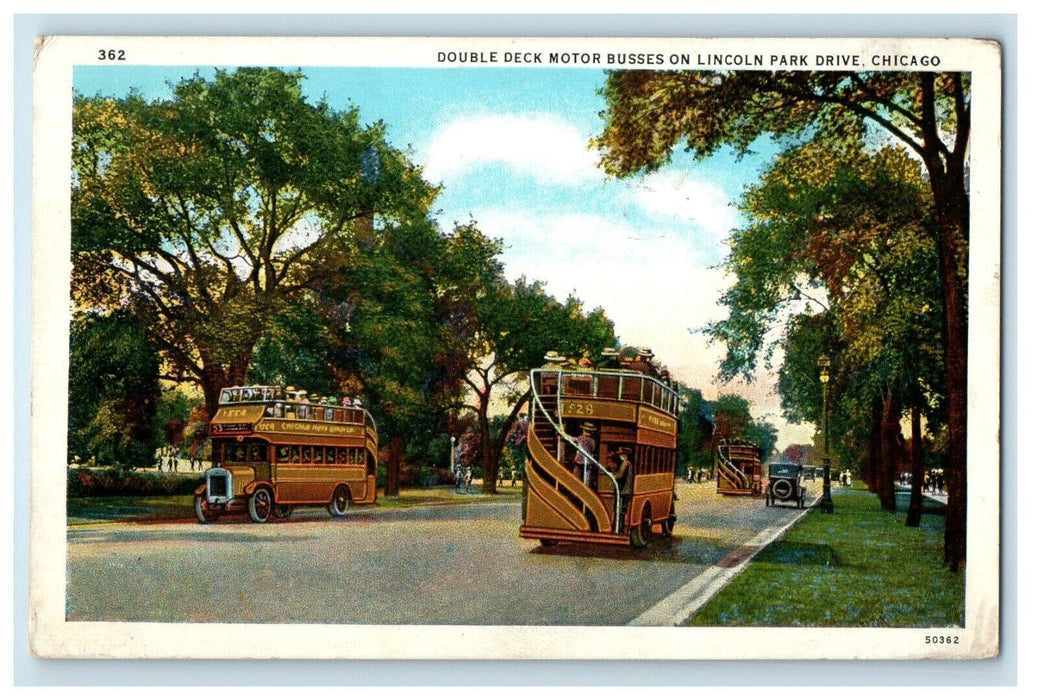 1931 Double Deck Motor Busses On Lincoln Park Drive Chicago Illinois IL Postcard