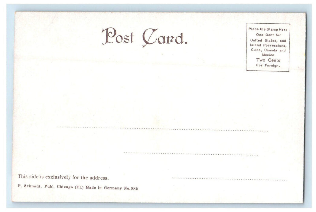 c1905 Chicago Illinois IL, The Grand Crossing Numerable Trains Pass Postcard