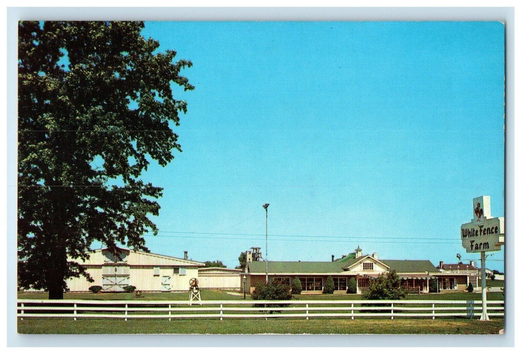 c1950's White Fence Chicken Farm Jolliet Illinois IL Unposted Vintage Postcard