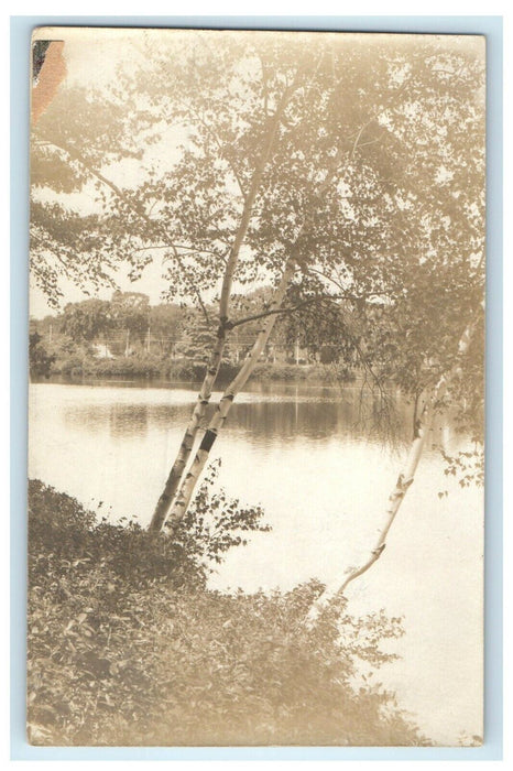 c1910's View Of Lake Abington Massachusetts MA RPPC Photo Antique Postcard