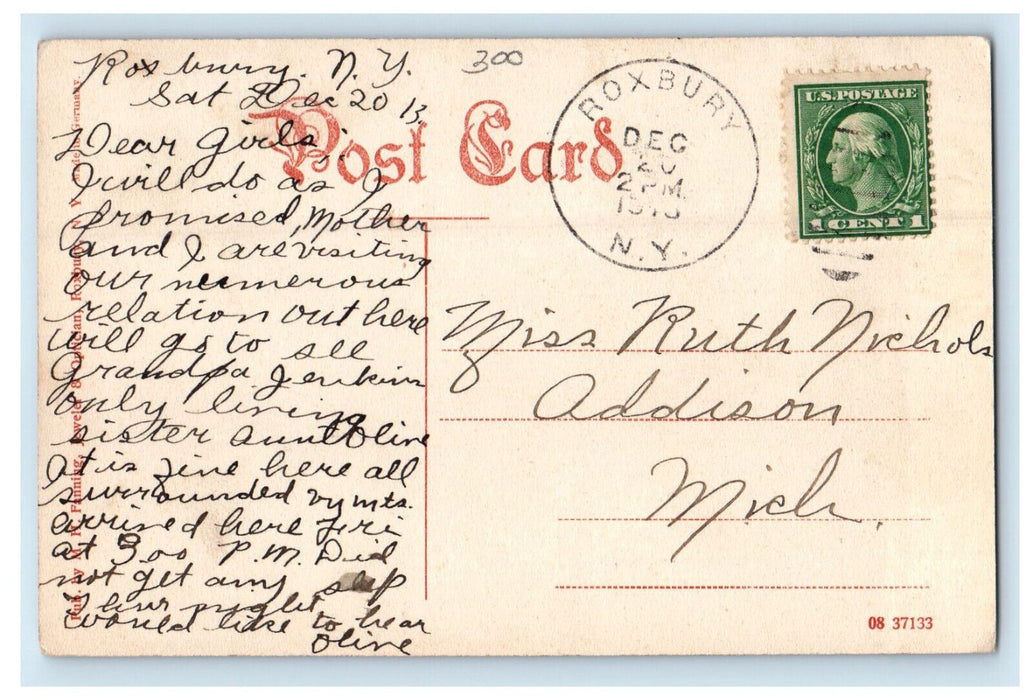 1913 The Falls In Kirkside Park Roxbury-In-The-Catskills New York NY Postcard