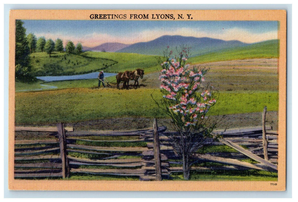 c1930s Horses in Farm, Greetings from Lyons New York NY Postcard