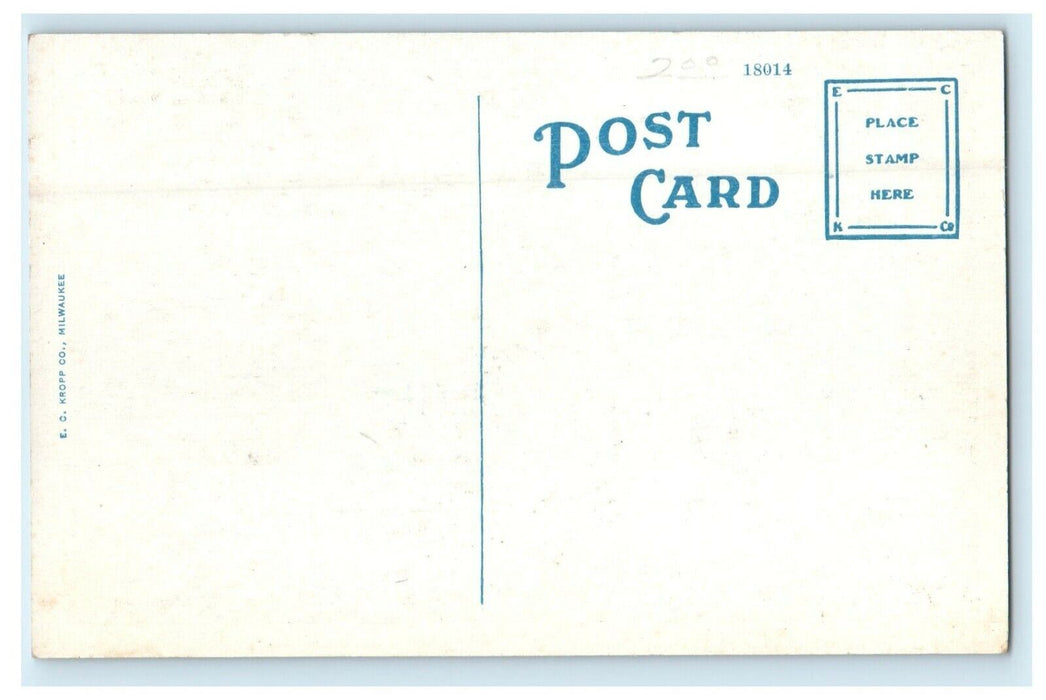 c1910 View Of Sylvan Lake Boat Pontiac Michigan MI Unposted Antique Postcard