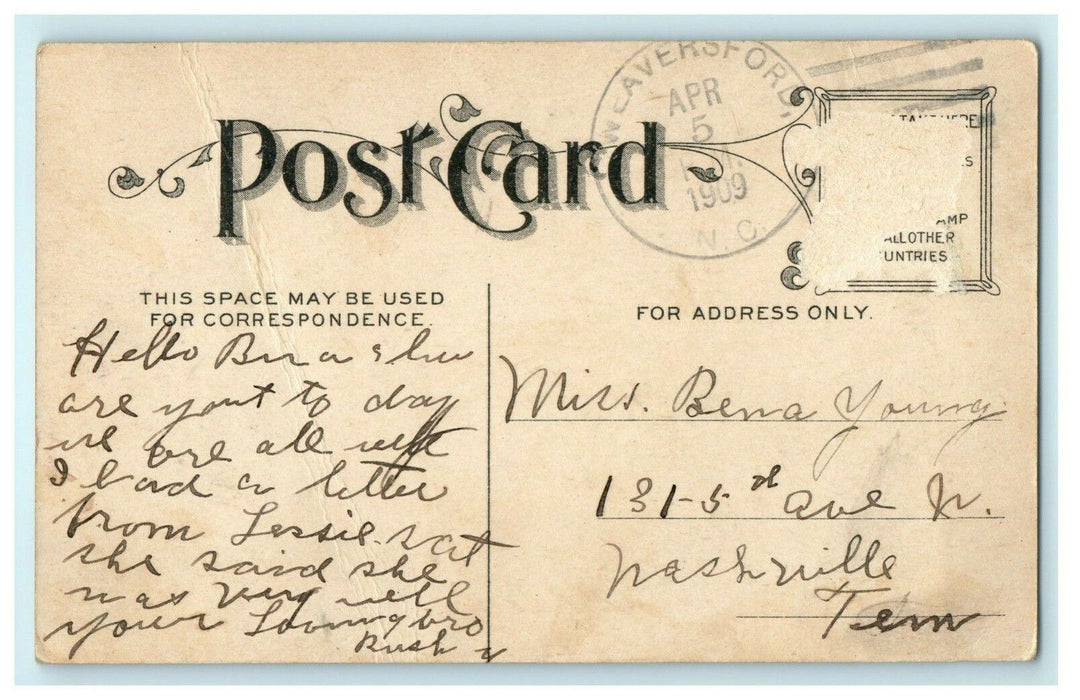 I Feel As Gay As A Bird - 1909 Rare Comic Goatee Beard Strange Antique Postcard