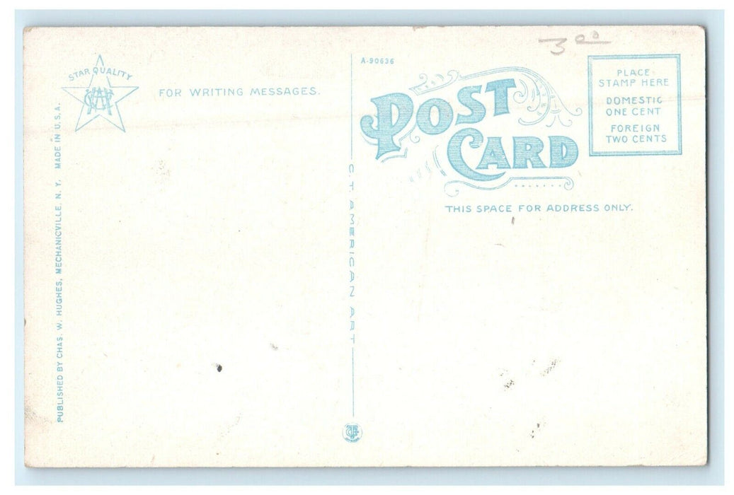 c1920's Lake George NY,  Steamer Ship Horicon Leaving Huletts Landing Postcard