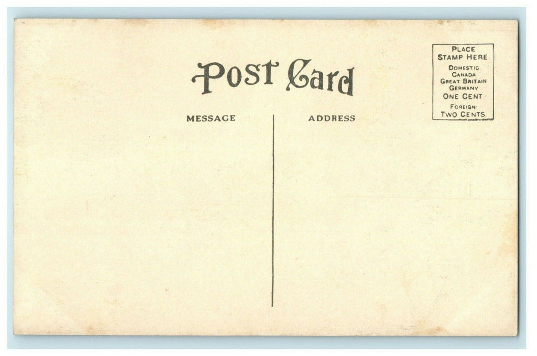 Washington St. - Mendota Illinois c1910 Unused Antique Postcard