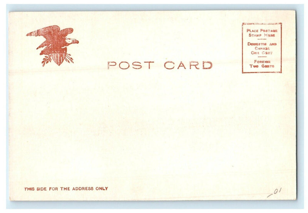 c1905 State Normal School Driveway North Adams Massachusetts MA Antique Postcard