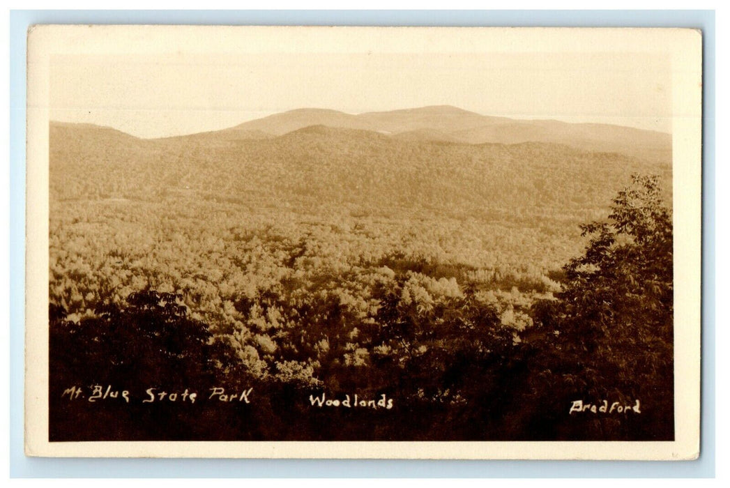 c1905 View Of Mt. Blue State Park Woodlands Massachusetts MA RPPC Photo Postcard