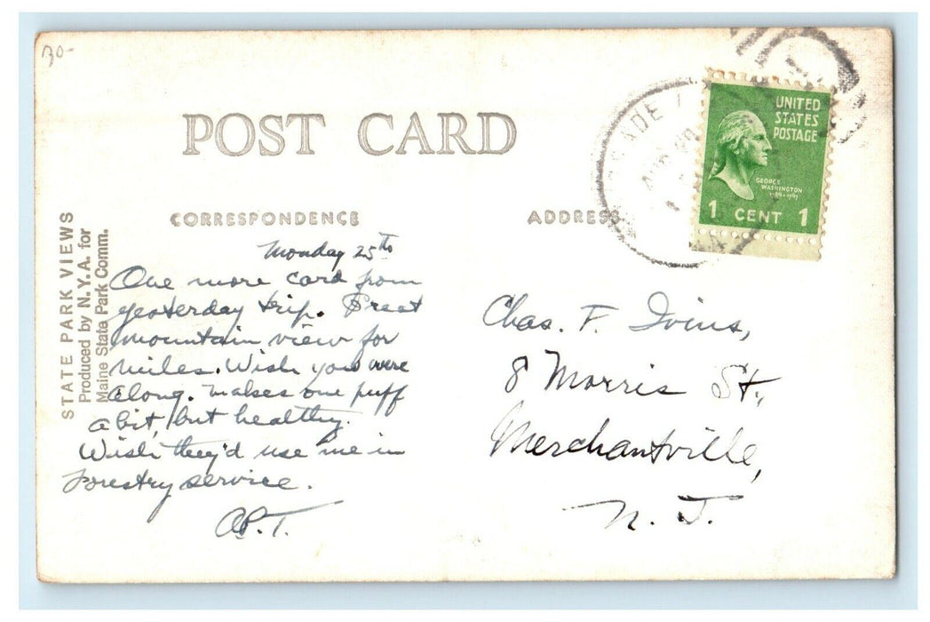 c1905 View Of Mt. Blue State Park Woodlands Massachusetts MA RPPC Photo Postcard