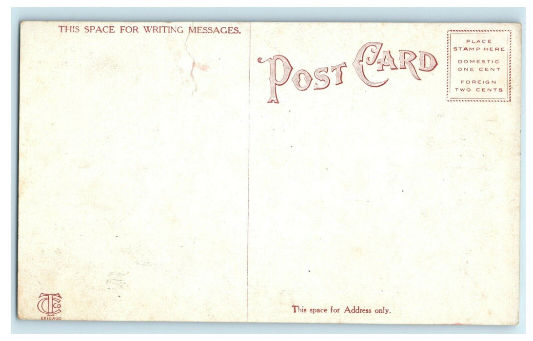 Wheeler Park Oklahoma City c1910 Unposted Antique Postcard