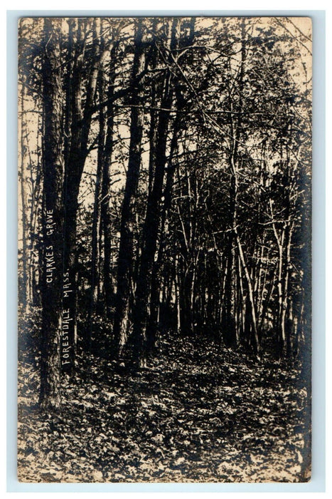 c1910's Clarkes Grove Forestdale Massachusetts MA RPPC Photo Antique Postcard