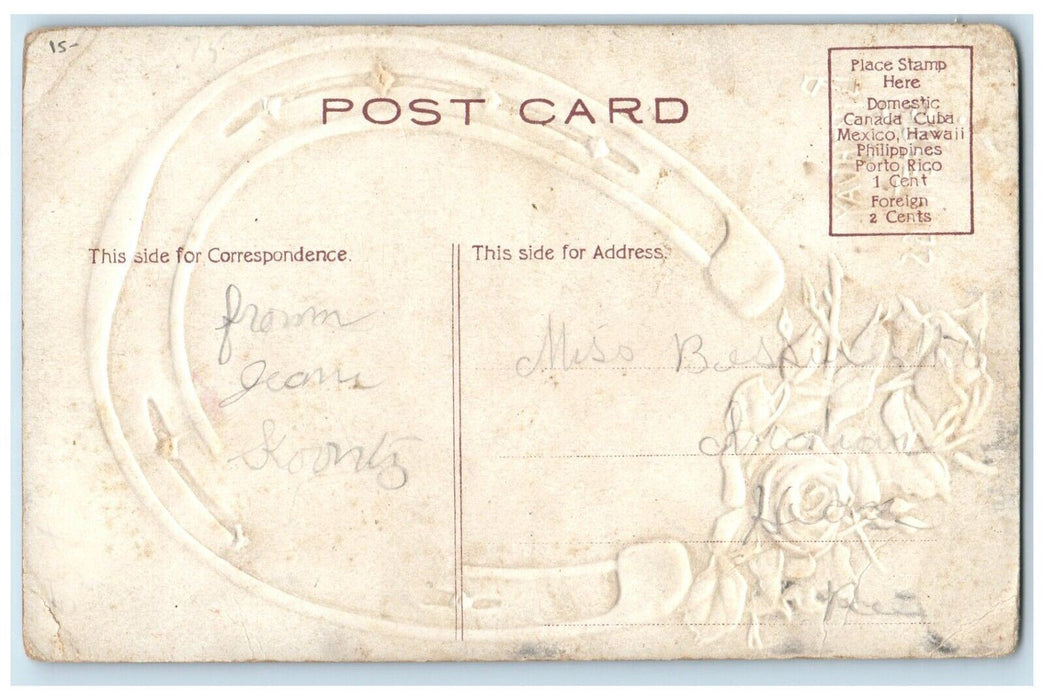 c1910's Birthday Greetings Beautiful Girl Horseshoe Flowers Embossed Postcard