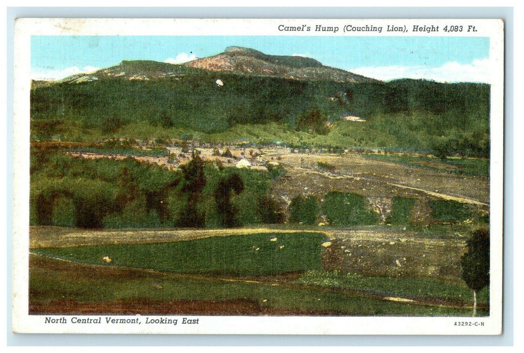 1934 Camel's Hump Couching Lion North Central Vermont VT, Looking East Postcard