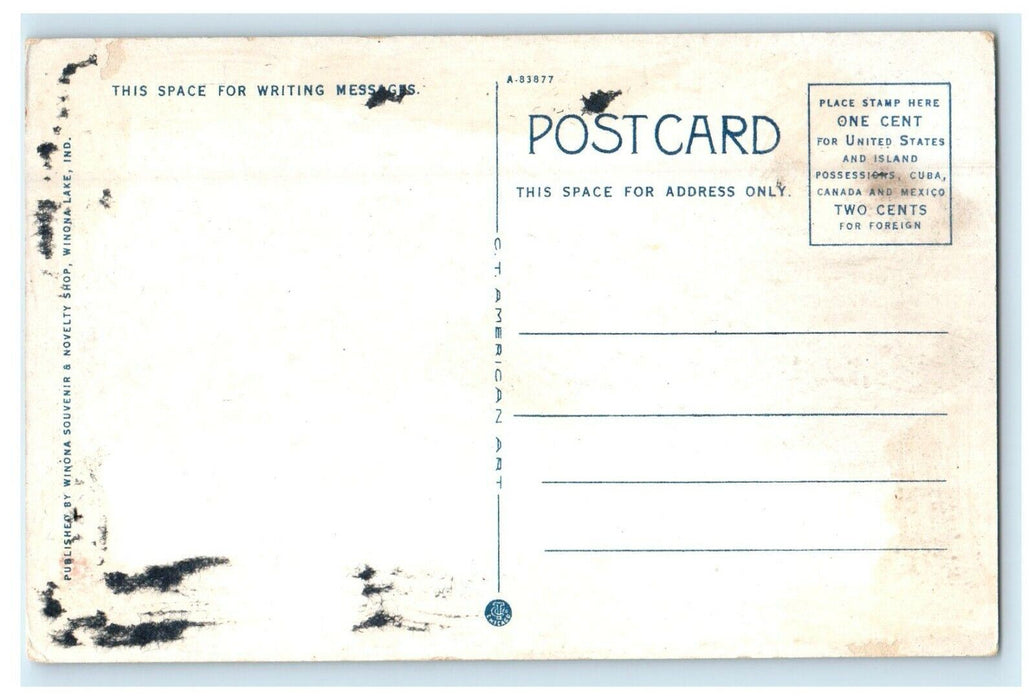 c1920's View Of The Island Winona Lake Indiana IN Unposted Vintage Postcard