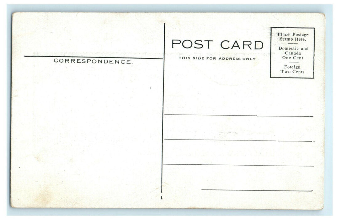 Mrs. Frank Farnum Singer c1910 Dixon Illinois Antique Advertising Dress Postcard