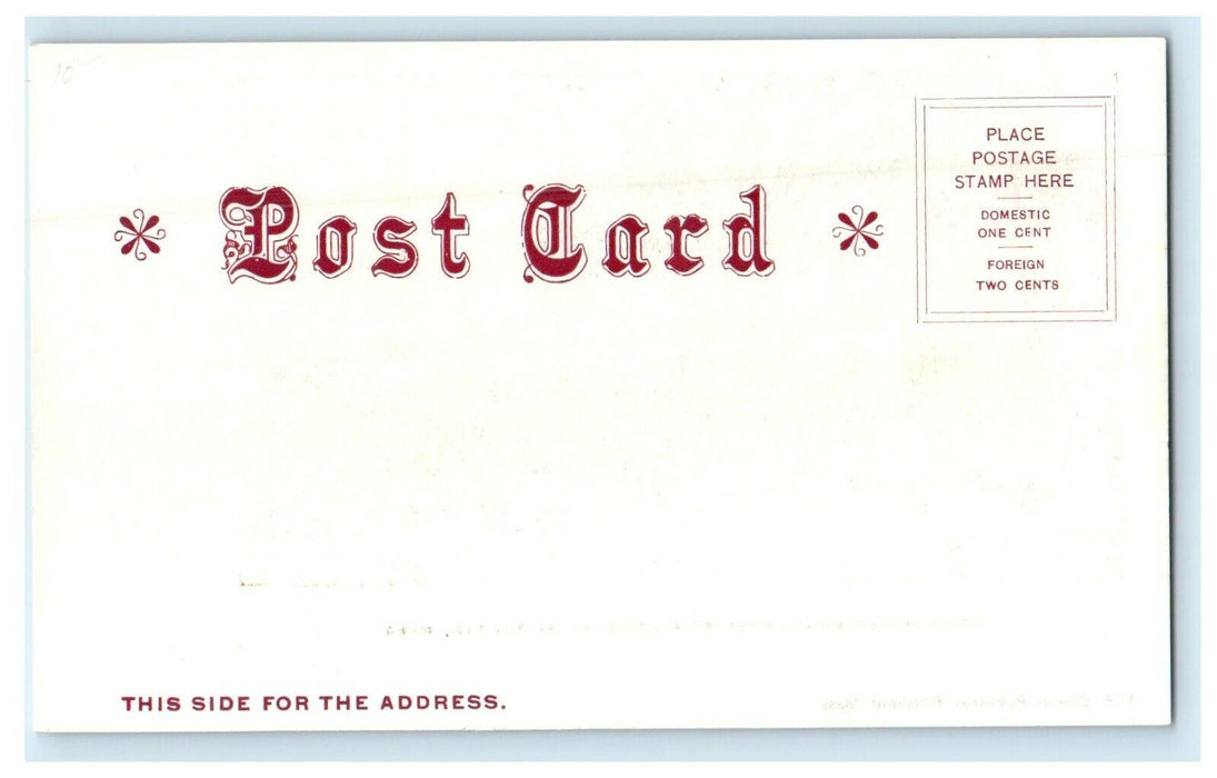 c1904 Court House and Berkshire Athenaeum Pittsfield, Massachusetts MA Postcard