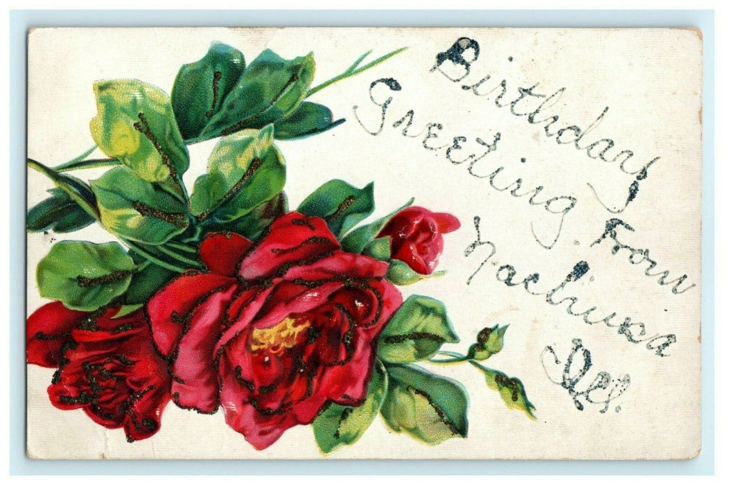 Greetings From Nachusa Illinois Glitter Flowers Embossed c1910 Antique Postcard