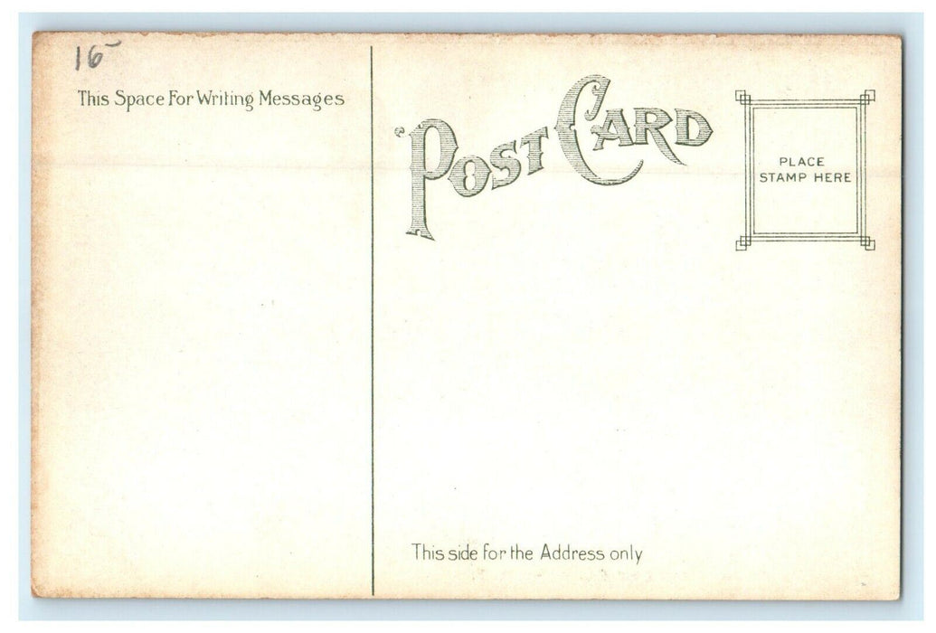 c1910 View of North Street, Pittsfield, Massachusetts MA Antique Postcard