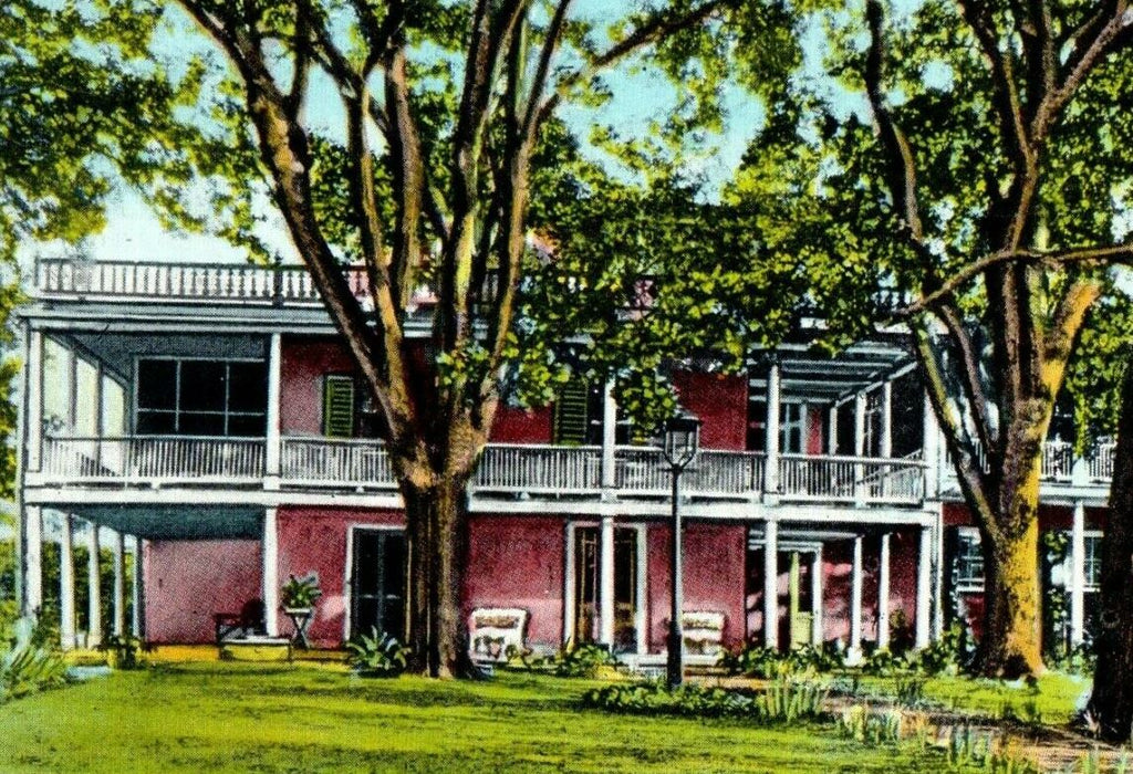 The Elms Home of Mr. & Mrs. Joseph Kellog Natchez Mississippi MS Postcard