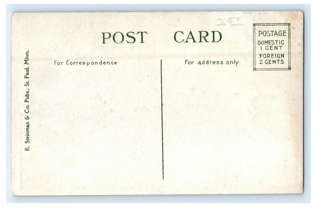 c1910's View Of City Hospital Saint Paul Minnesota MN Unposted Antique Postcard