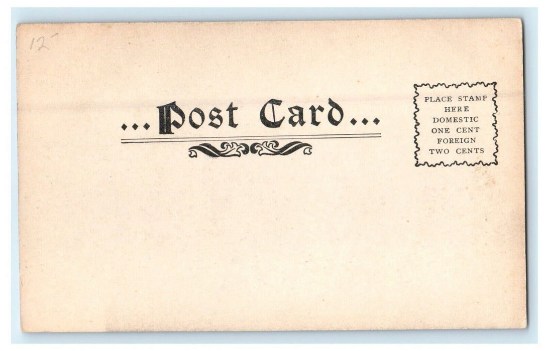 c1905 Allbright House and Smith College Massachusetts MA Antique Postcard