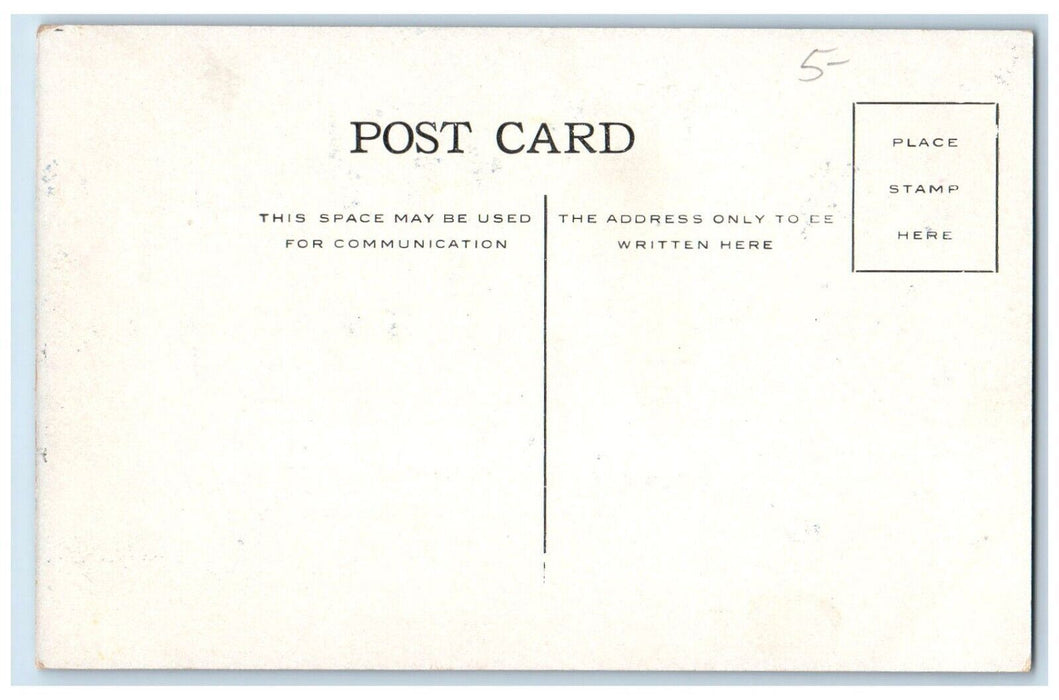 c1910's Public Library Winona Minnesota MN Unposted Antique Postcard