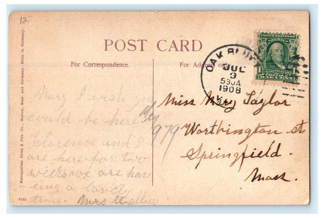 c1908 Ocean Park View, Oak Bluffs Massachusetts MA Antique Postcard