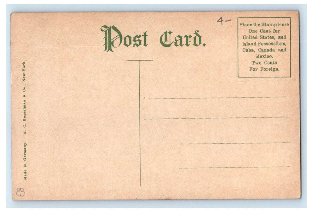 c1910's Lodge Retreat House And Trees Coloma Michigan MI Antique Postcard