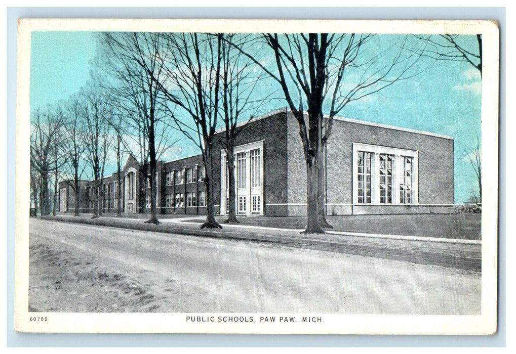 Public Schools Building Street View Paw Paw Michigan MI Vintage Postcard