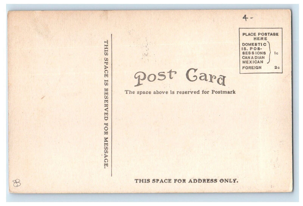 c1910's St. Paul's Parochial School Negaunee Michigan MI Antique Postcard
