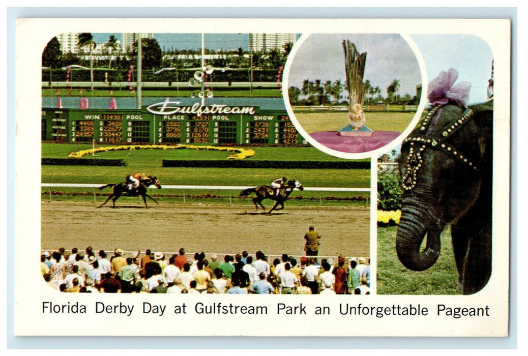 c1960s Florida Derby Day at Gulfstream Park an Unforgettable Pageant Postcard