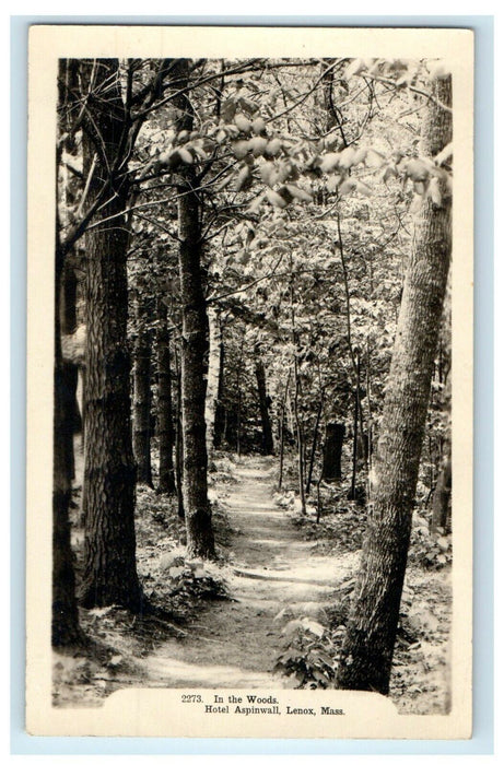 c1910's In The Woods Hotel Aspinwall Lenox Massachusetts MA RPPC Photo Postcard