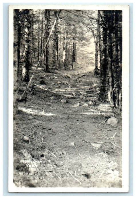 1935 Mountain Path Strange Tree Coast Canton Massachusetts RPPC Photo Postcard