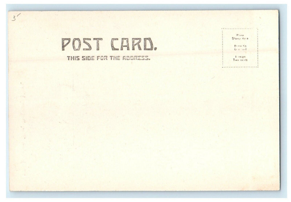 c1905 View of Washington Elm, Palmer, Massachusetts MA Antique Postcard