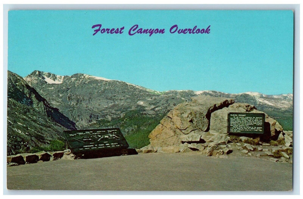 c1960s Forest Canyon Overlook Rocky Mountain National Park Colorado CO Postcard