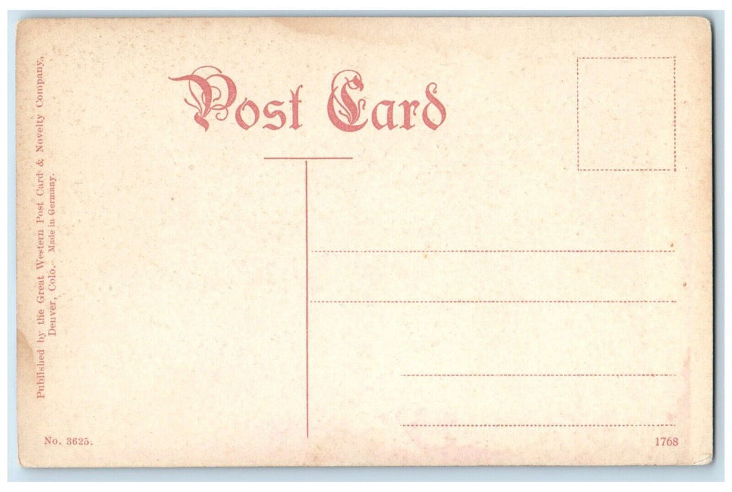 c1910s Natural Hot Swimming Pool Glenwood Springs Colorado CO Antique Postcard
