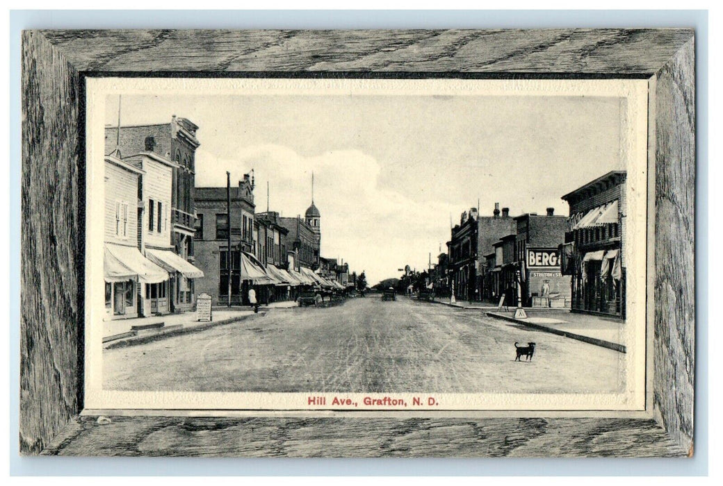 c1910's Hill Avenue Street View Stores Dog Grafton South Dakota SD Postcard