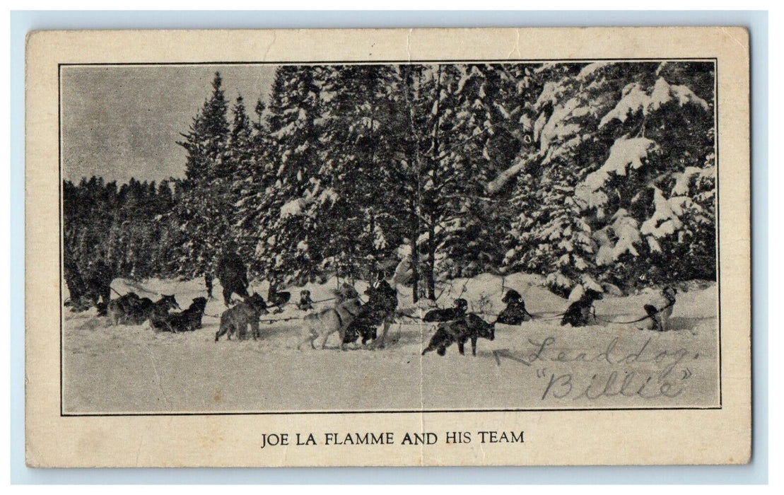 c1910's Dog Sled Team Wolves Winter Snow Covered Trees Canada Postcard
