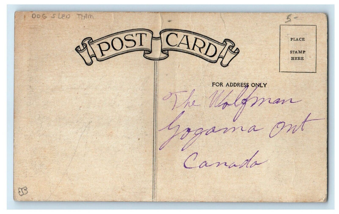c1910's Dog Sled Team Wolves Winter Snow Covered Trees Canada Postcard