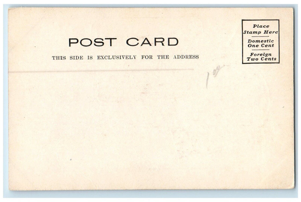 c1905s  Double View Spring and Pool Glenwood Springs Colorado CO Postcard